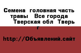 Семена (головная часть))) травы - Все города  »    . Тверская обл.,Тверь г.